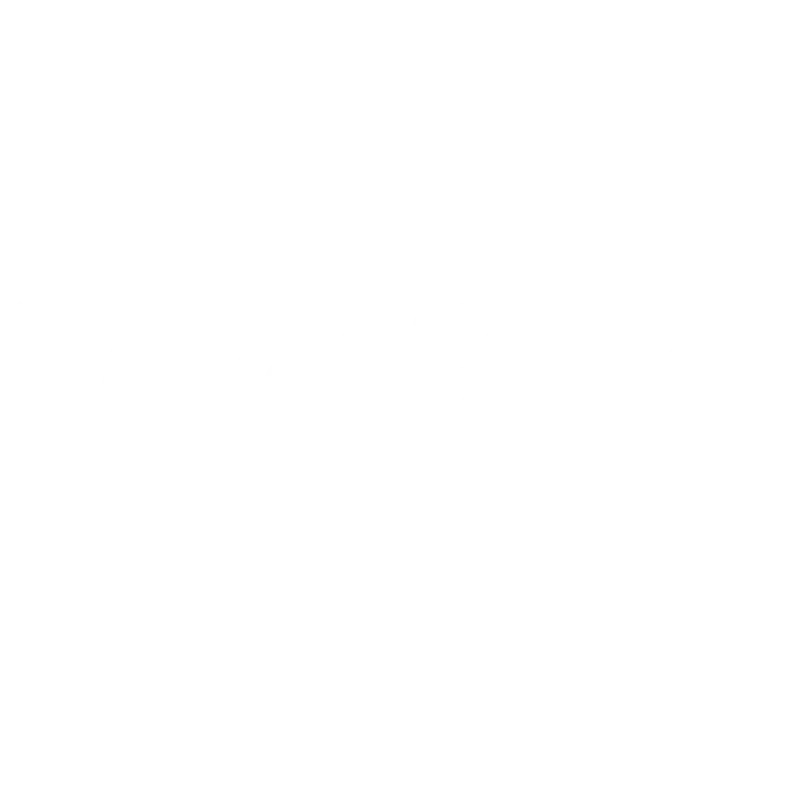 Jungle Boys